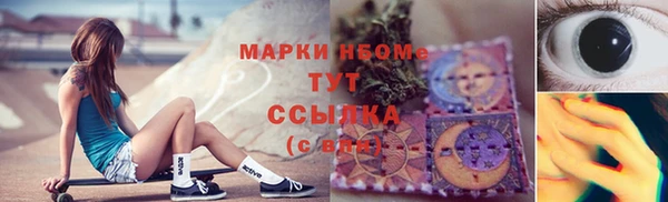 гидра Алексин