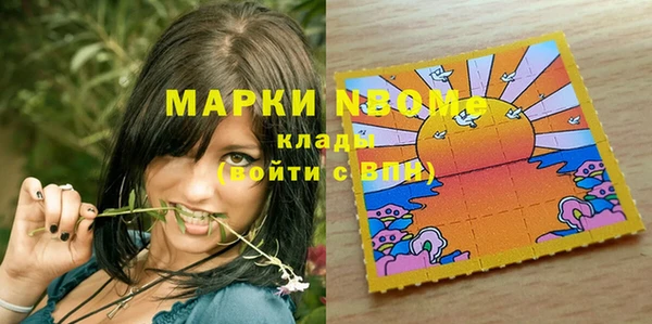 гидра Алексин
