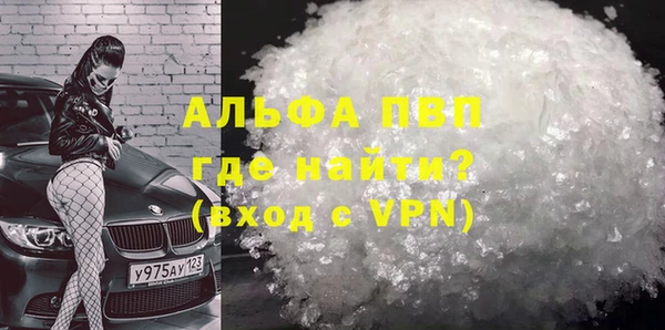 гидра Алексин