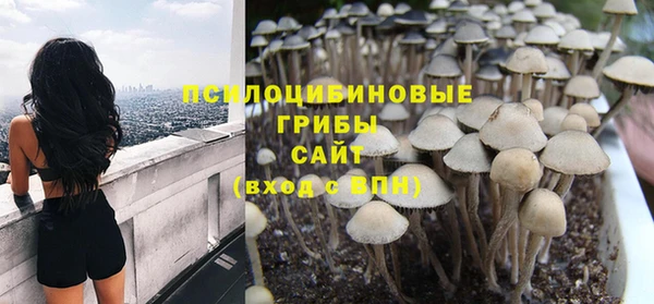 СК Армянск