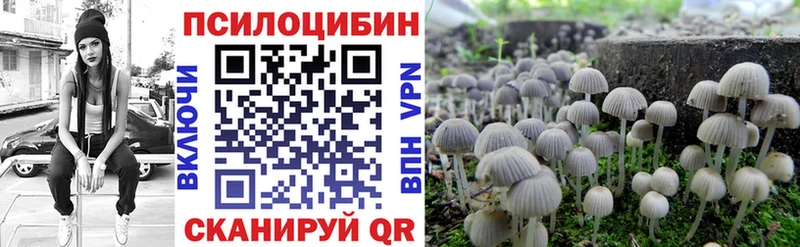 Галлюциногенные грибы Magic Shrooms  купить   Нарткала 