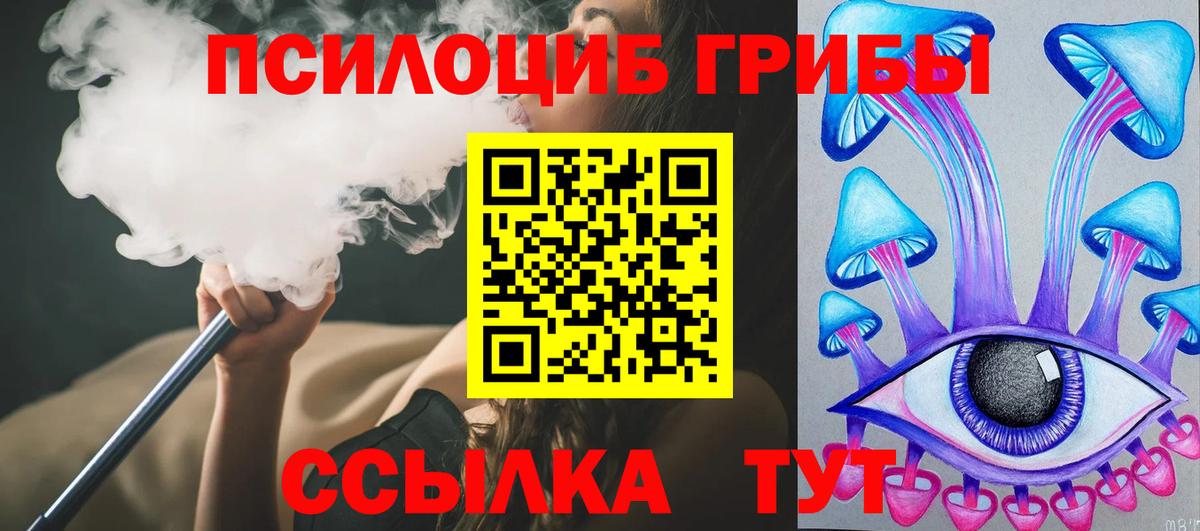 Галлюциногенные грибы Psilocybe Нарткала